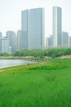 Vibrant city skyline with tall buildings, adjacent green park, and serene lake view.