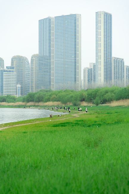 Vibrant city skyline with tall buildings, adjacent green park, and serene lake view.