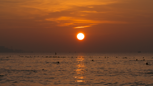 Free A serene sunset over the ocean with swimmers silhouetted by the golden light. Stock Photo