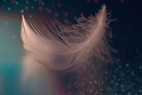 Free Close-up of a delicate white feather on a colorful bokeh backdrop, creating a serene and artistic composition. Stock Photo