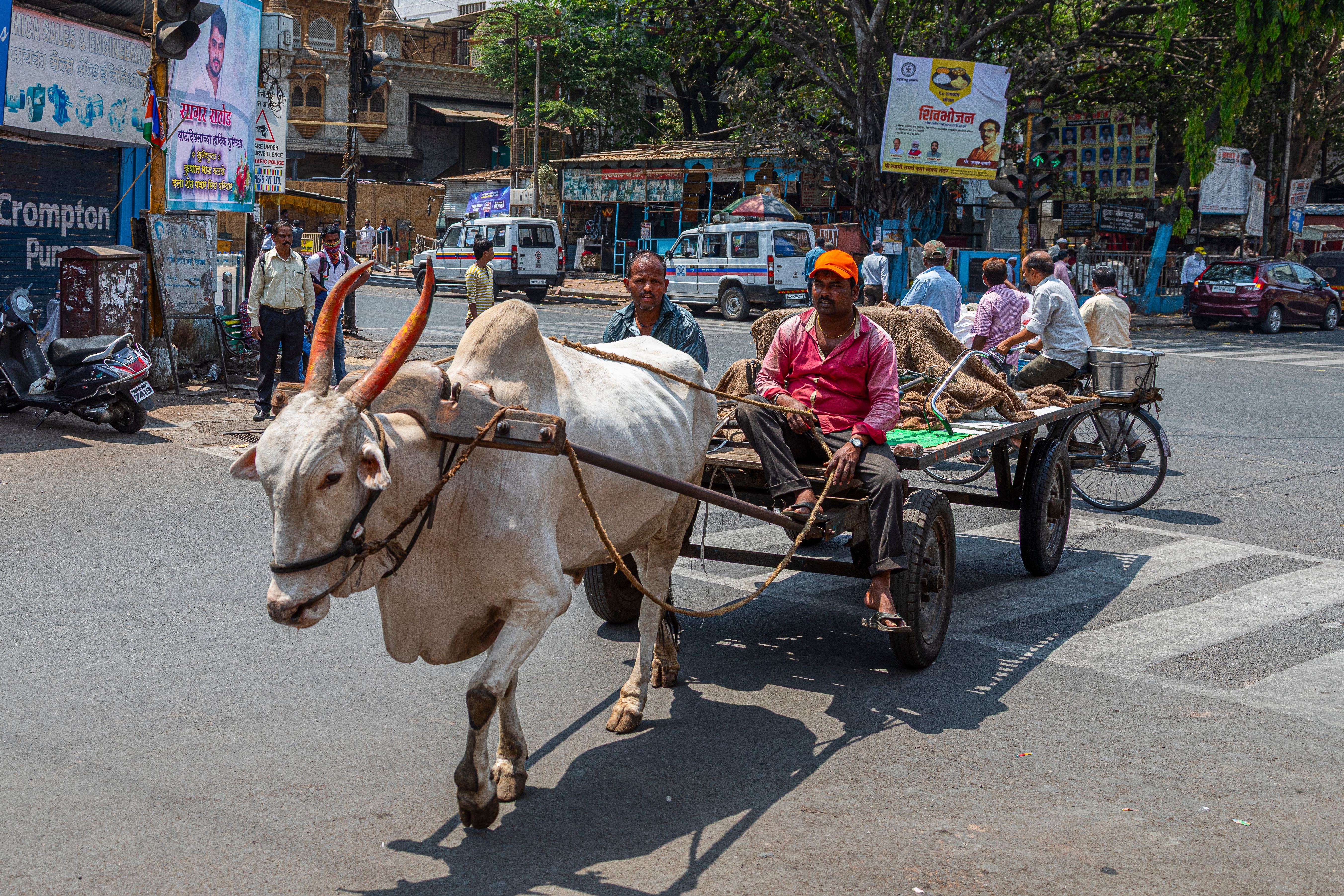The Intersection of Tradition and Modernity: How Local Drivers Navigate India's Urban Landscapes