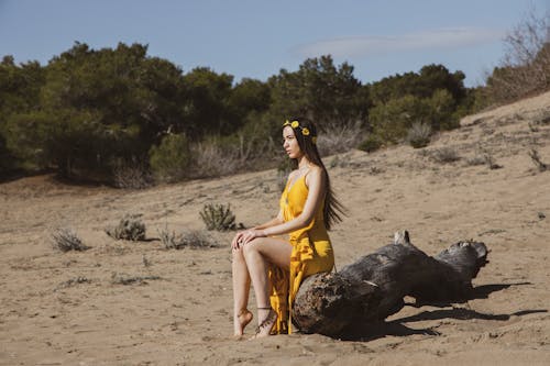 黃色的裙子，坐在木頭上的女人