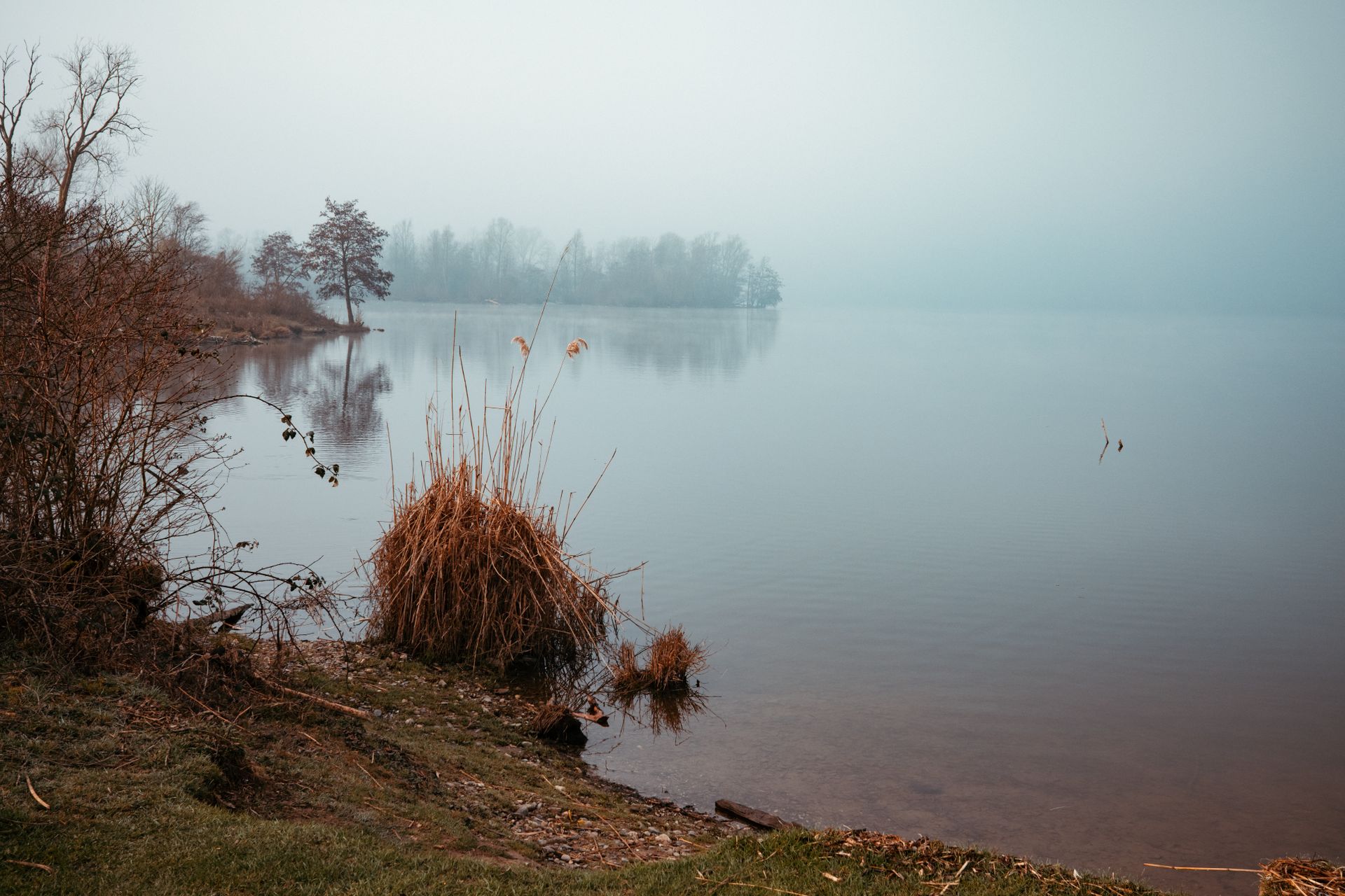 Orilla de un lago gris bajo cielo nublado