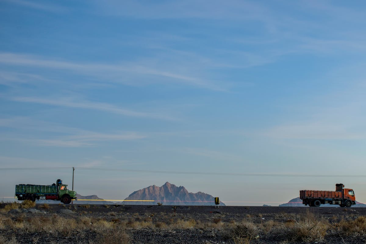 Mejor Pienso para Gato Castrado 2026: Análisis y Comparativa