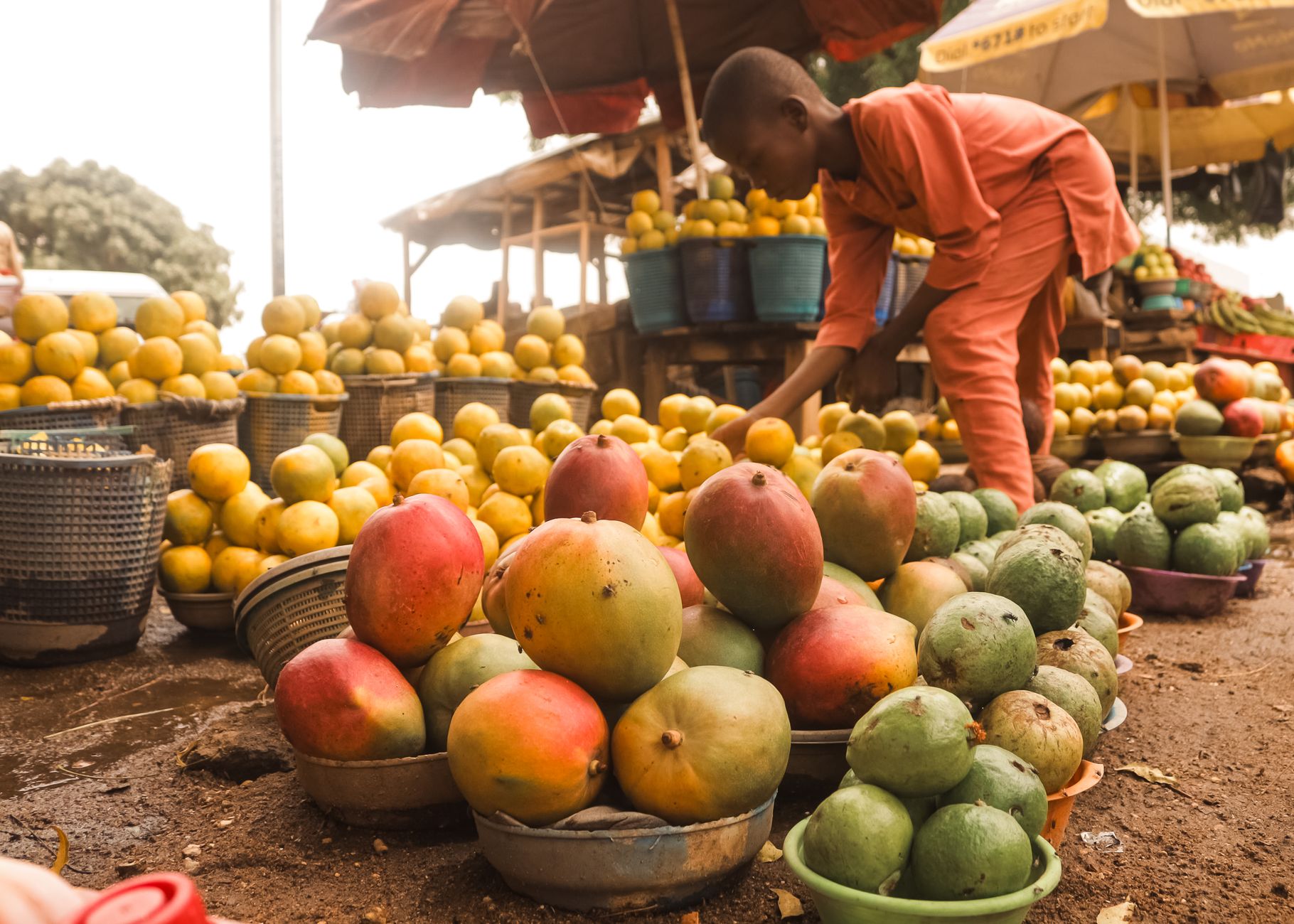 A young vendor arranges mangoes and citrus fruits at an outdoor market stall.