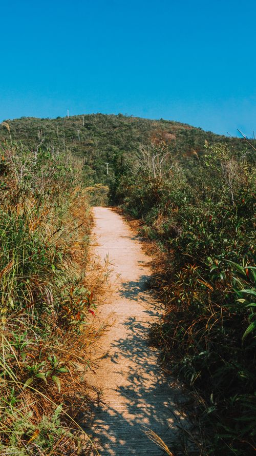 Free Winding pathway through lush greenery under a clear blue sky, offering a serene nature walk. Stock Photo
