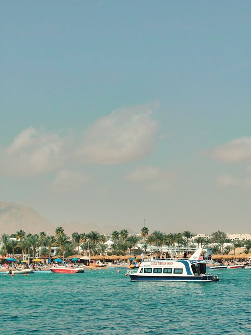 Free Pleasure boat sails along a vibrant, palm-lined beach under a clear sky, ideal for summer getaways. Stock Photo