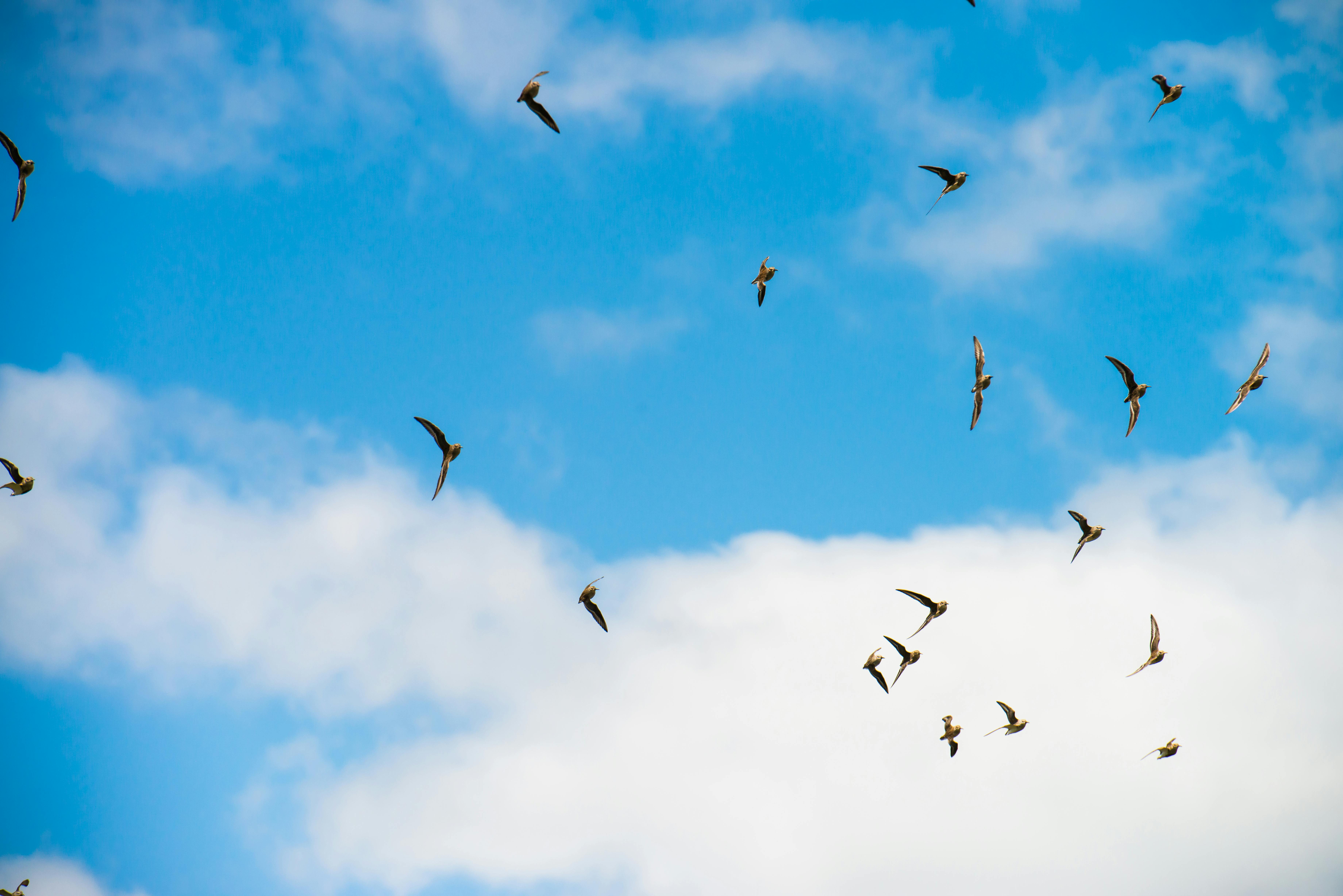 Urbandale amends contract with Flock camera company to improve data transparency — Photo by Garden Photography on Pexels