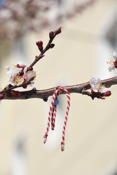 Martenitsa red-and-white craft
