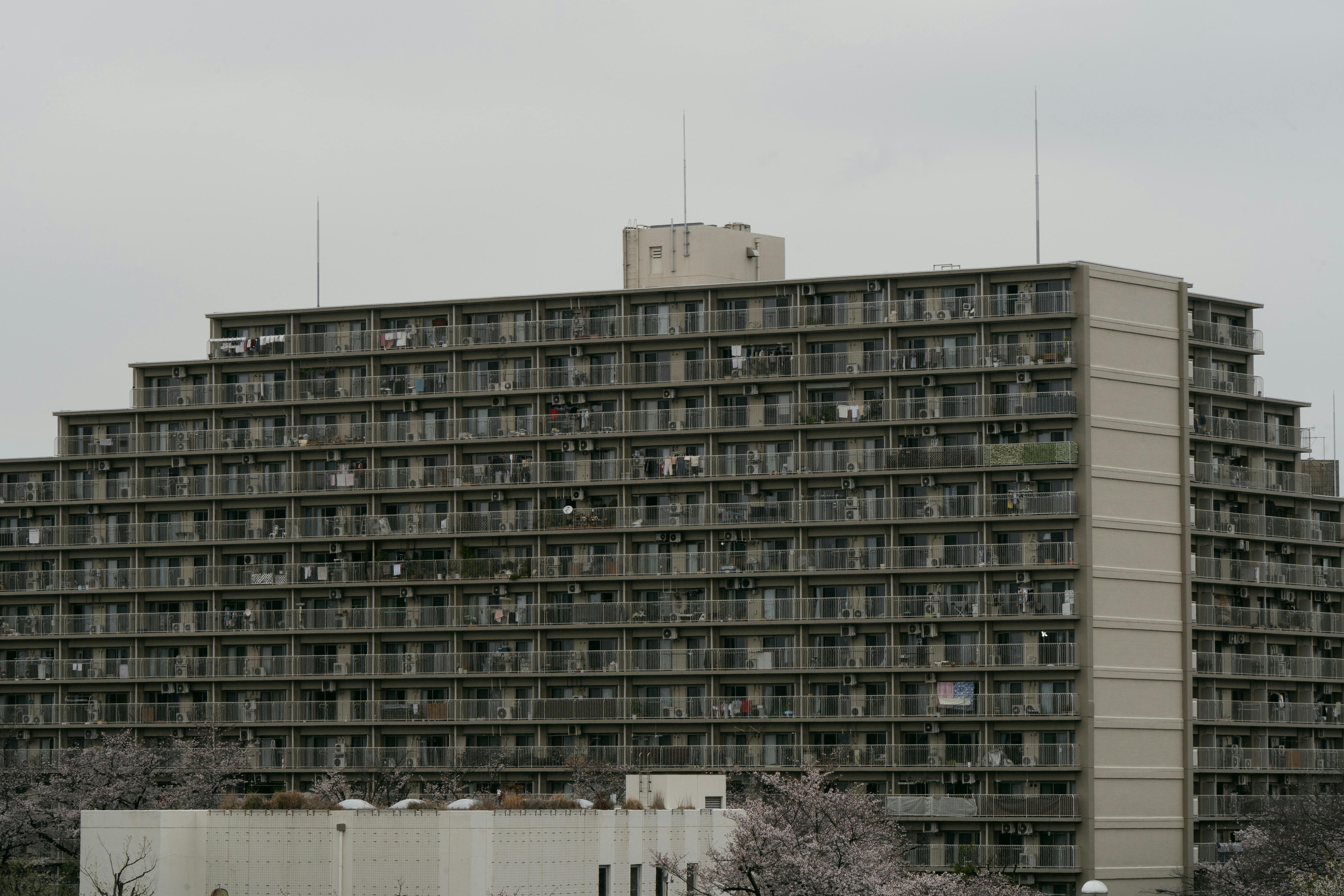 Backpackers' Haven Hiroshima – Hostel in Hiroshima | Hiroshima