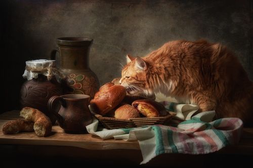 Free A ginger cat curiously explores a rustic still life with bread and pottery, adding charm to the scene. Stock Photo