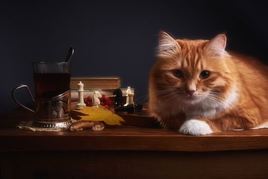 Ginger cat relaxing beside tea, chess pieces, and a fall leaf on a wooden table.