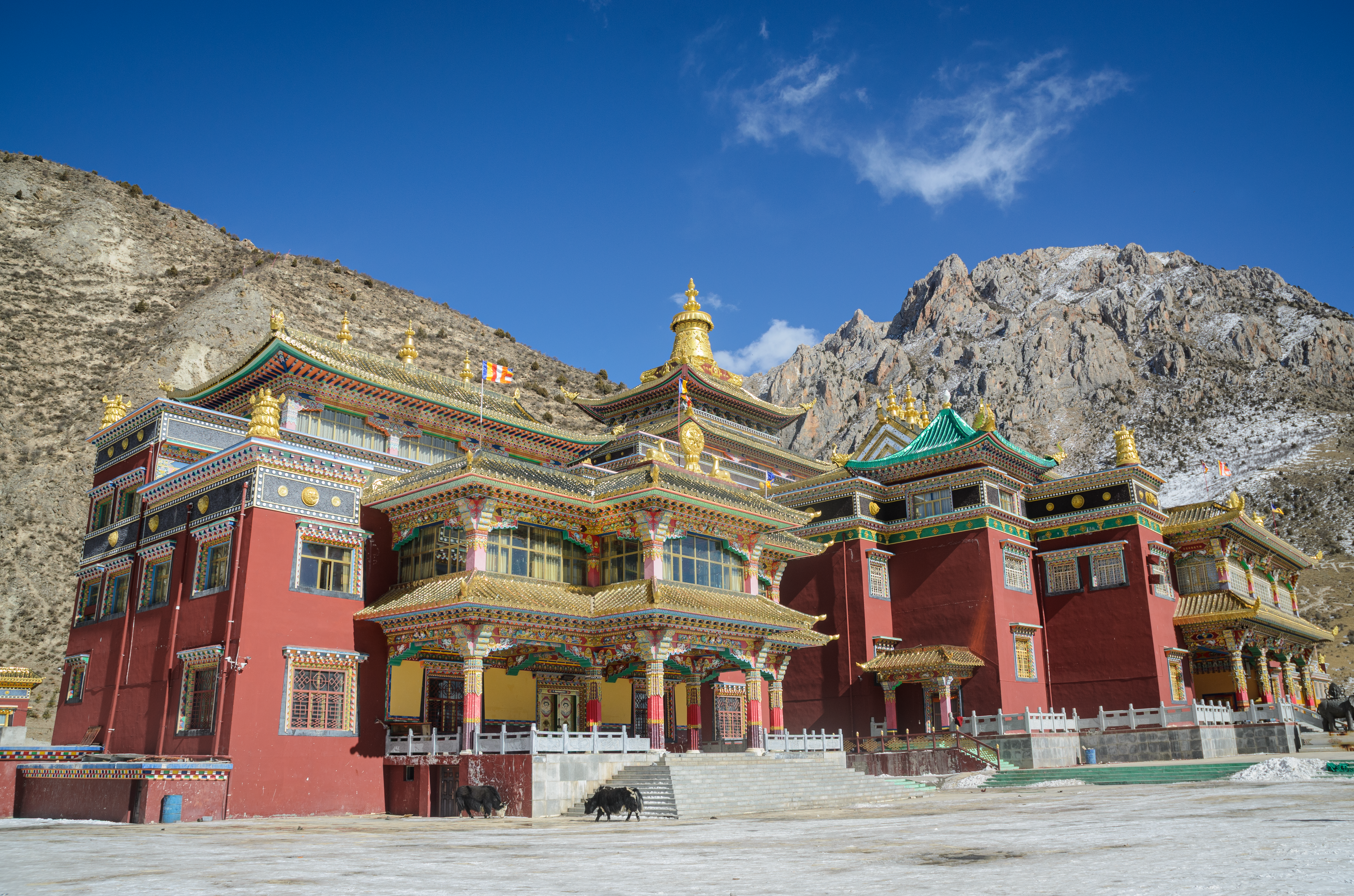 Yushu