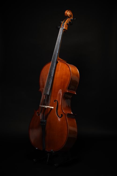 Free Beautiful cello photographed on a dark background, perfect for music-themed projects. Stock Photo