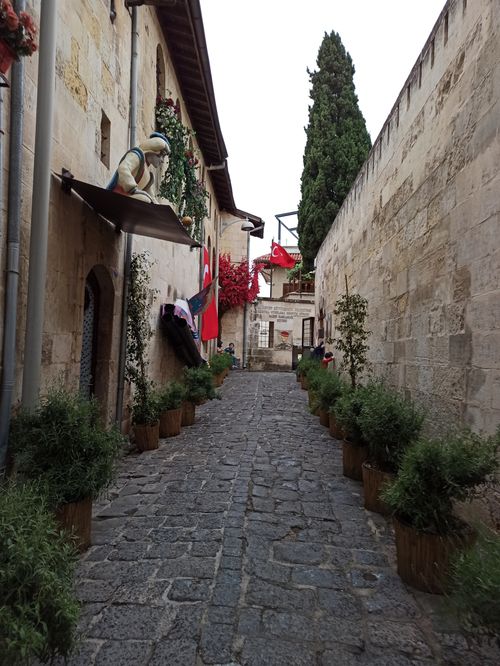 Free Picturesque cobblestone alley with historic buildings and plants lined along the pathway. Stock Photo