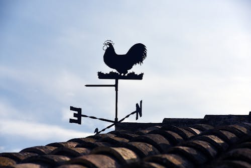 屋根の横の風見鶏