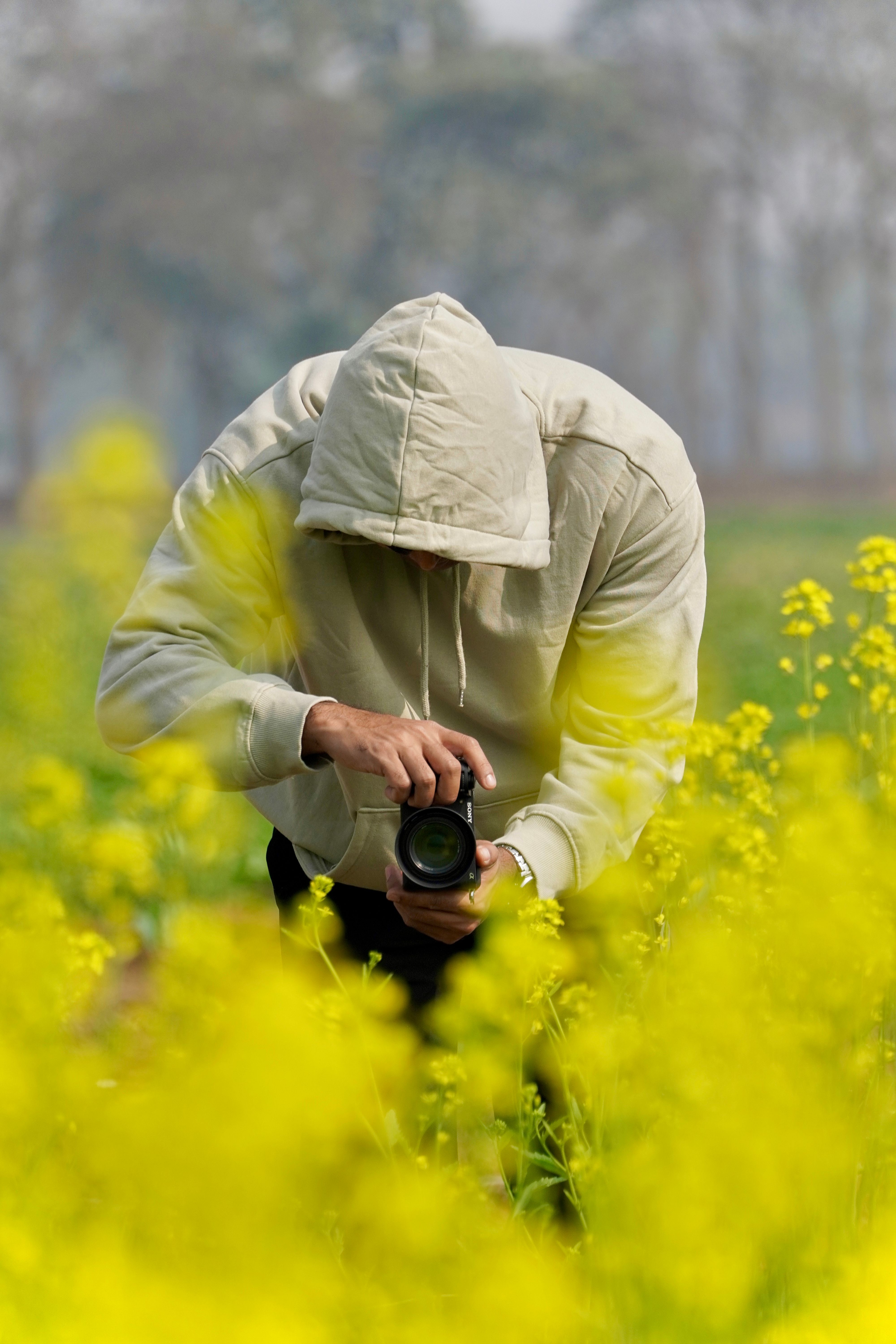 A photographer captures the beauty of a mustard field in Amta, India.
