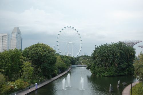 Free A picturesque view of the Singapore Flyer with lush greenery and water features in Gardens by the Bay. Stock Photo