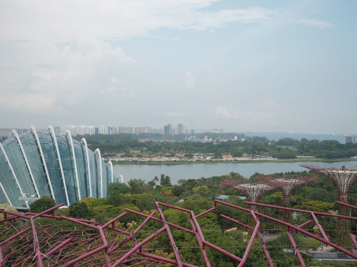 21 Day 200-Hour Yoga Teacher Training in Singapore 3