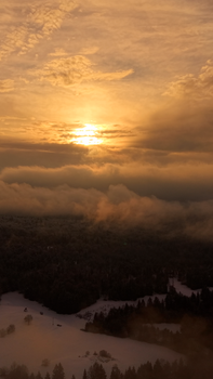 Stunning aerial view of a golden sunrise over a snow-covered forest landscape.
