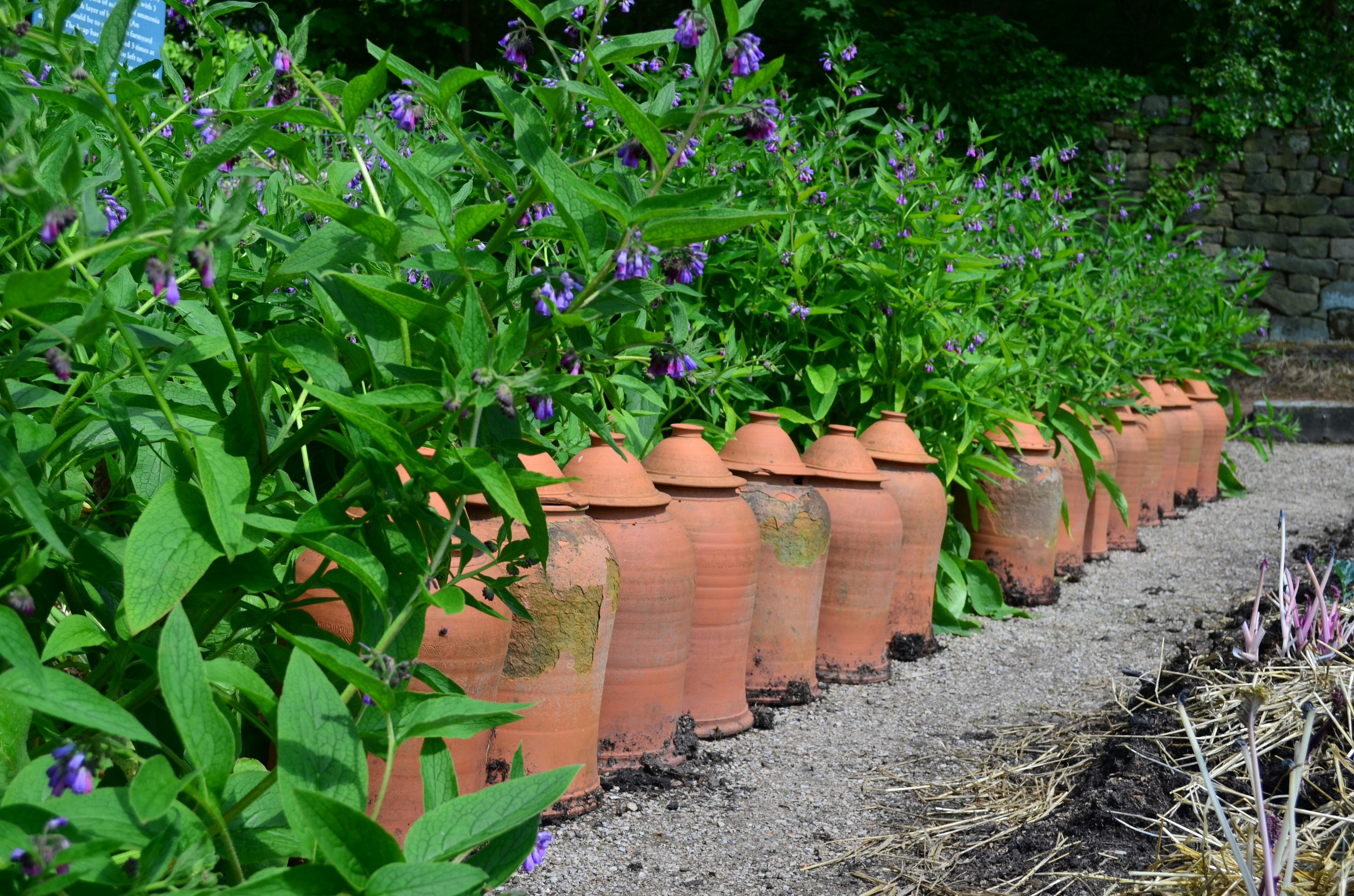 gardening, gardening leave, gardening tools, gardening gloves, gardening leave meaning, gardening hoe, gardening shoes, garde
