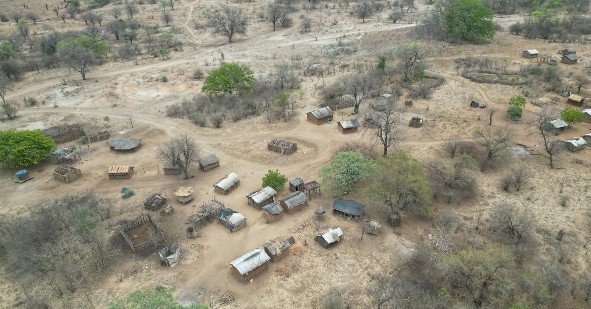 Photo of Mozambique