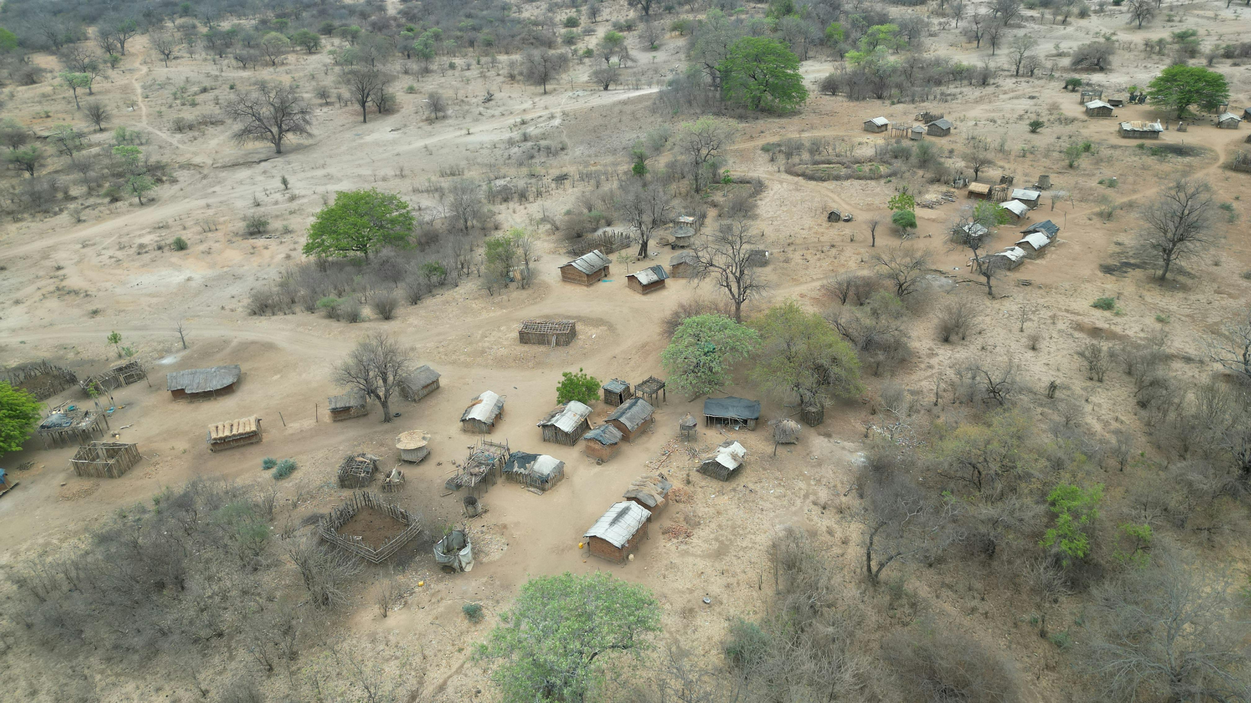 Indigenous land defenders are being killed, AI is scraping their knowledge