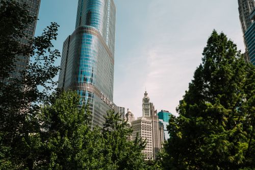Free View of Chicago downtown skyline featuring Trump Tower and surrounding skyscrapers with lush greenery. Stock Photo
