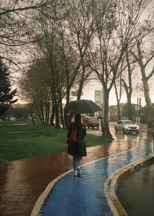 Free A woman walks along a wet, tree-lined path in Sakarya, Türkiye, under a dark umbrella. Stock Photo
