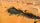 libya