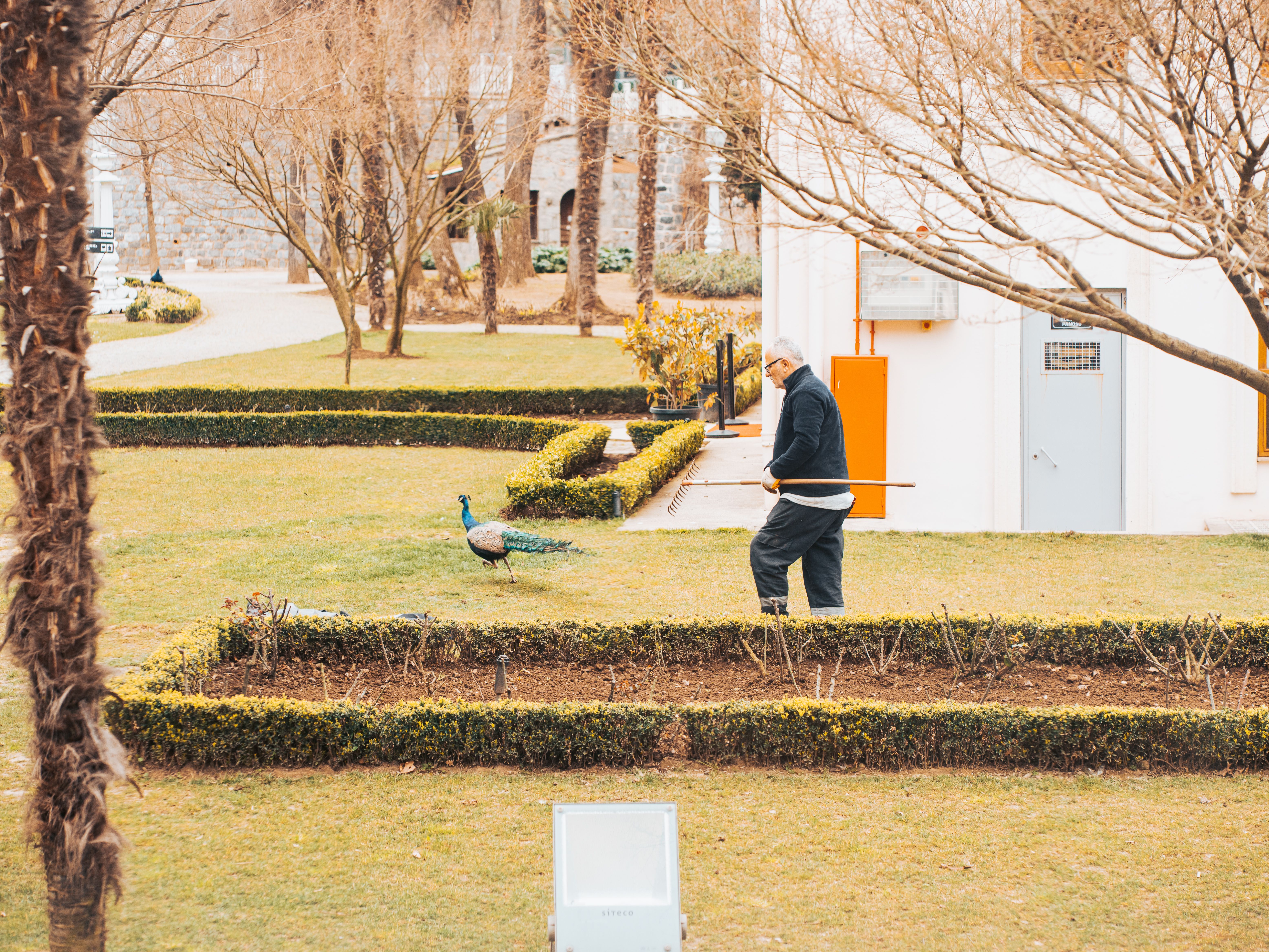 Lawn Mower Storage Mistakes That Cost You a Spring Repair Bill