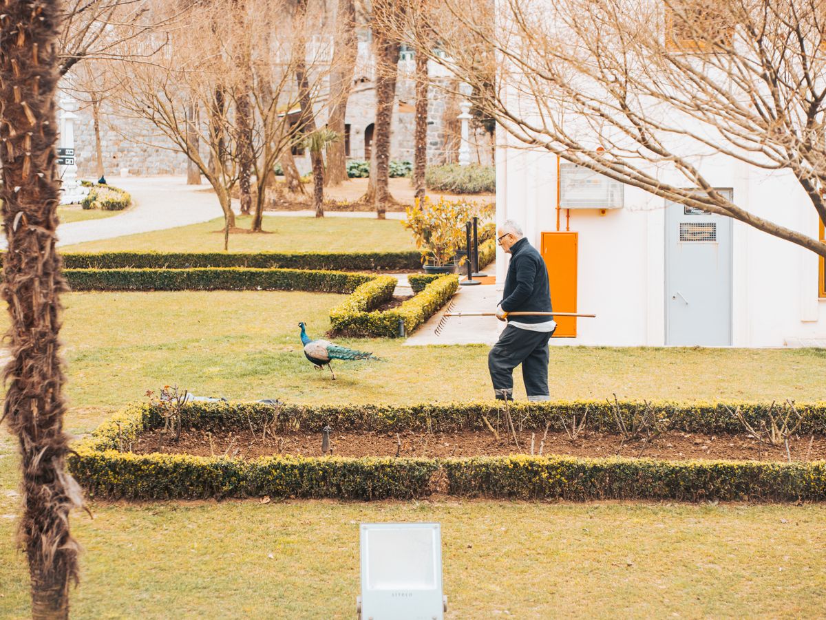 Giardinieri: I Veri Custodi dei Progetti Paesaggistici