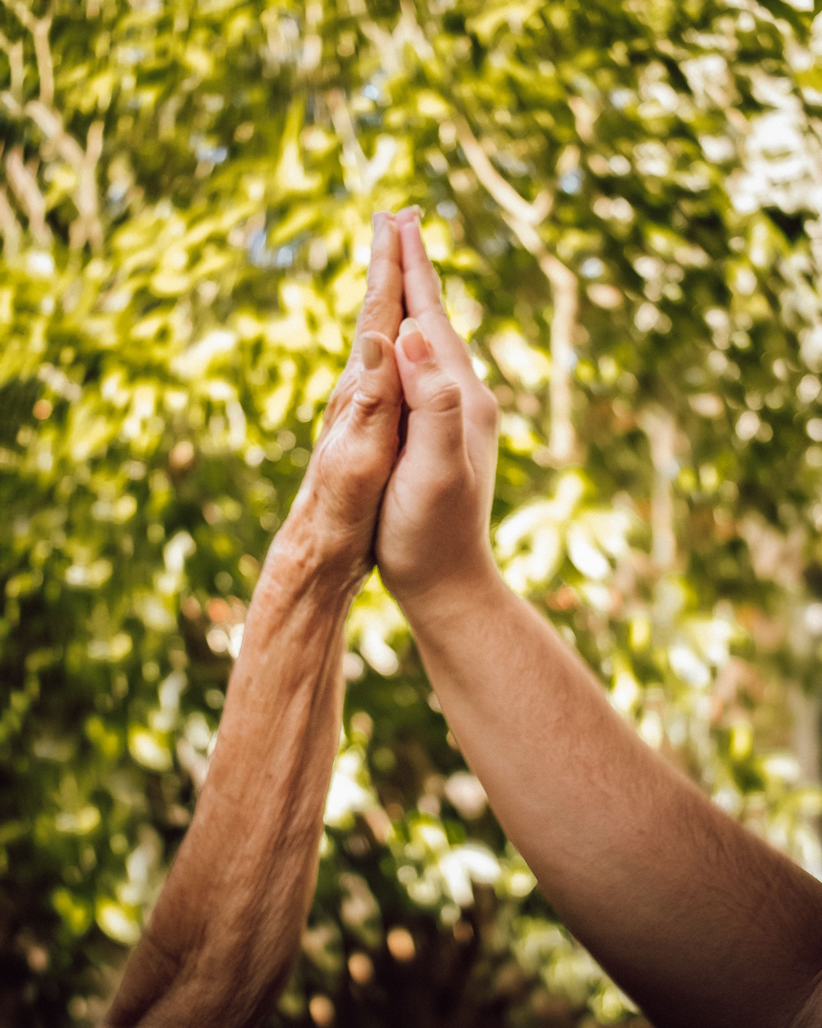 A young and elderly hand sharing a high five, symbolizing connection and unity.
