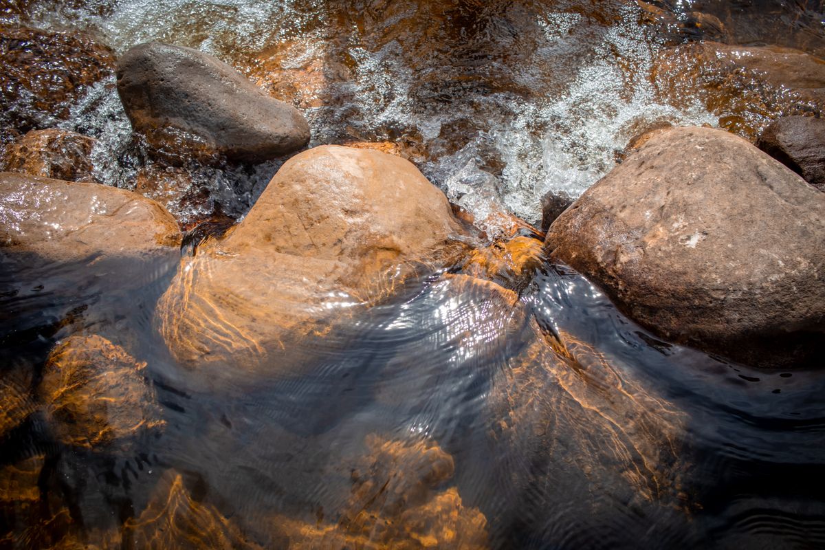 Close-up Photo of a Flowing Stream · Free Stock Photo