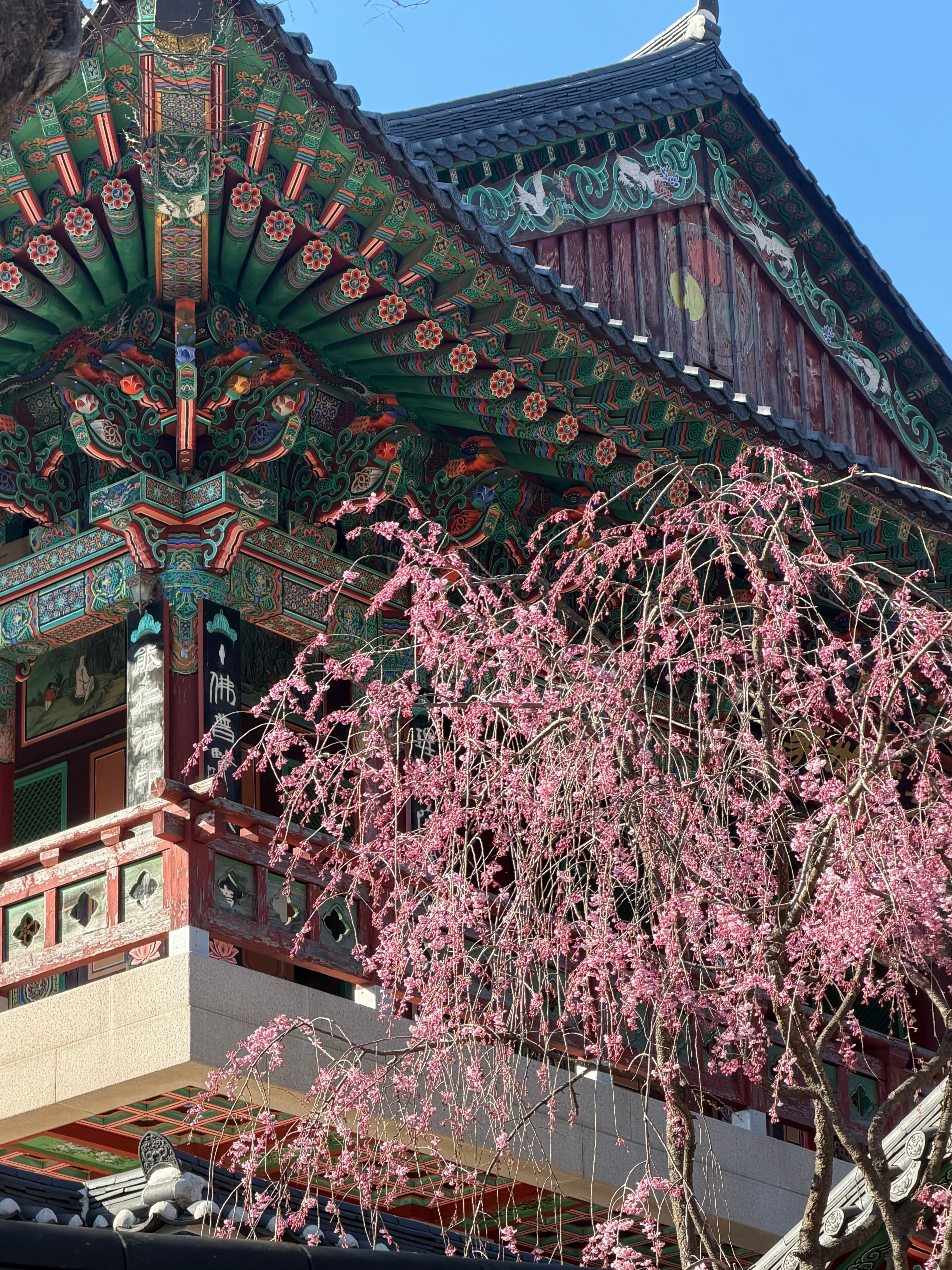 Gyeongju temple showcasing intricate architecture and blooming blossoms.