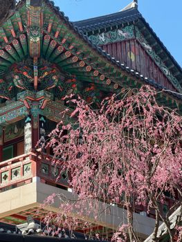 Gyeongju temple showcasing intricate architecture and blooming blossoms.