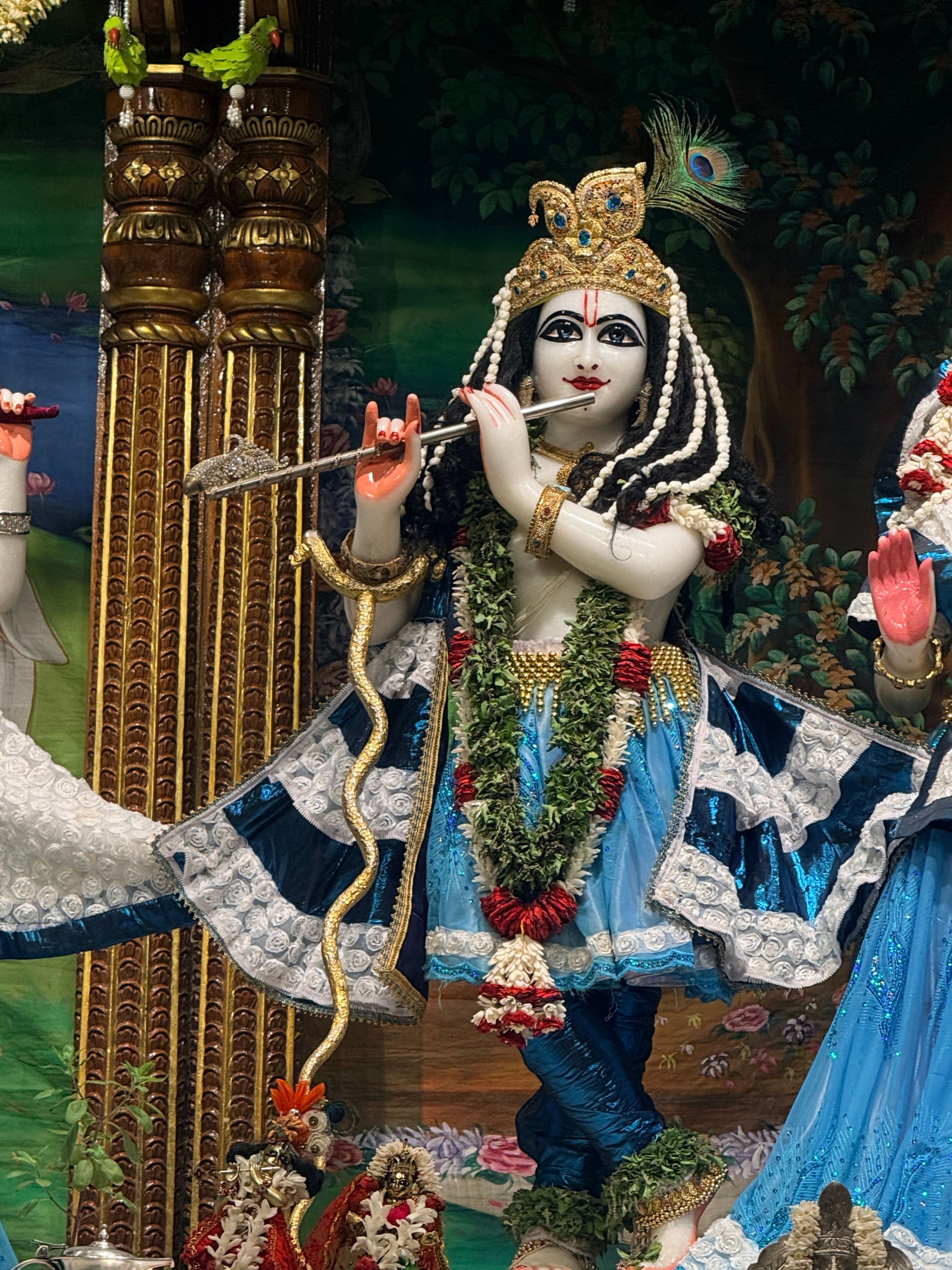 A beautifully adorned Krishna statue with vibrant blue attire in a temple setting, Tirupati, India.