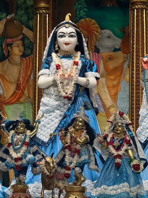 Free Intricate deity sculptures adorned with garlands in a vibrant Indian temple. Stock Photo