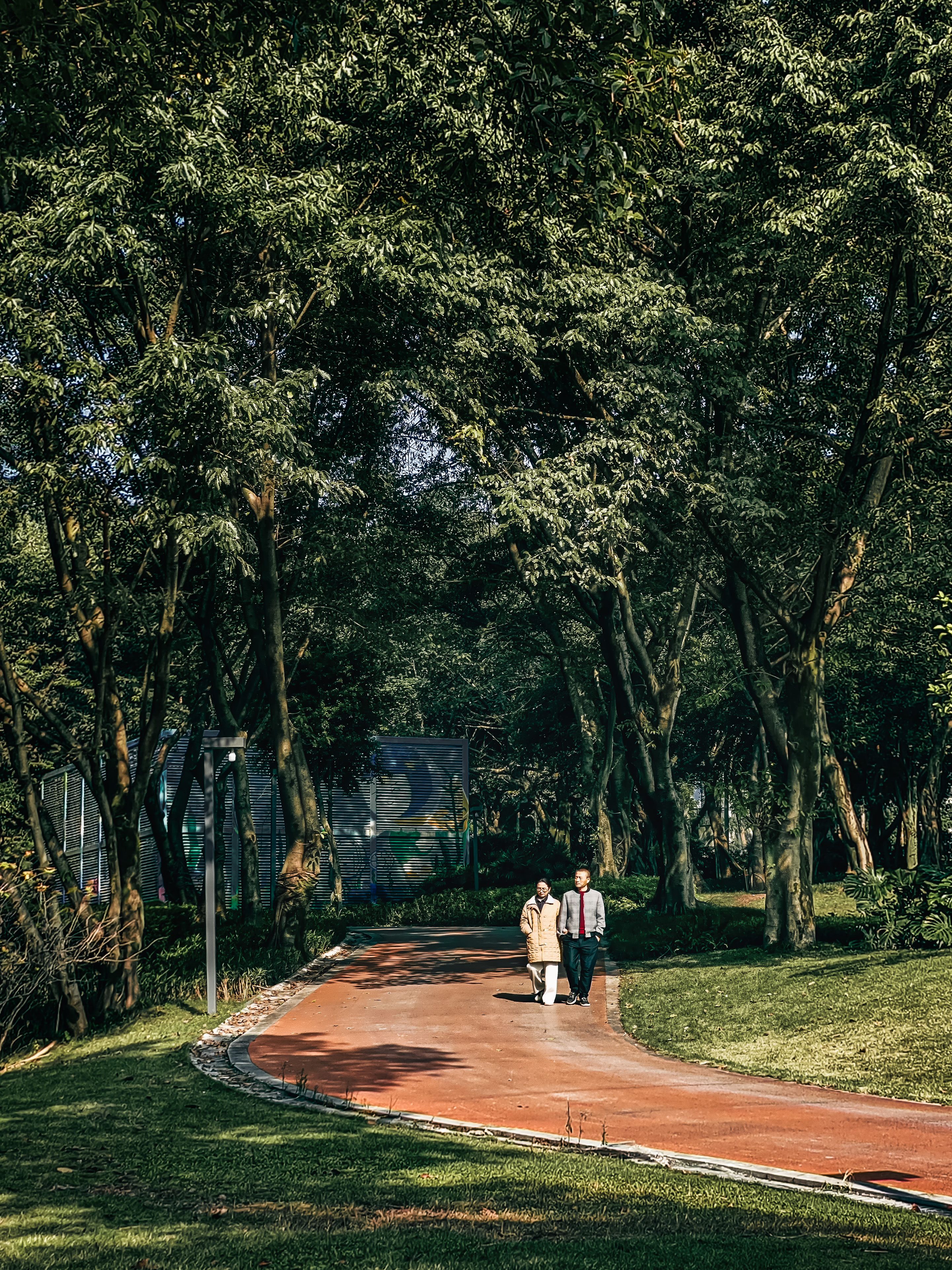A senior couple enjoys a peaceful walk along a sunlit path in a lush green park, surrounded by tall trees.