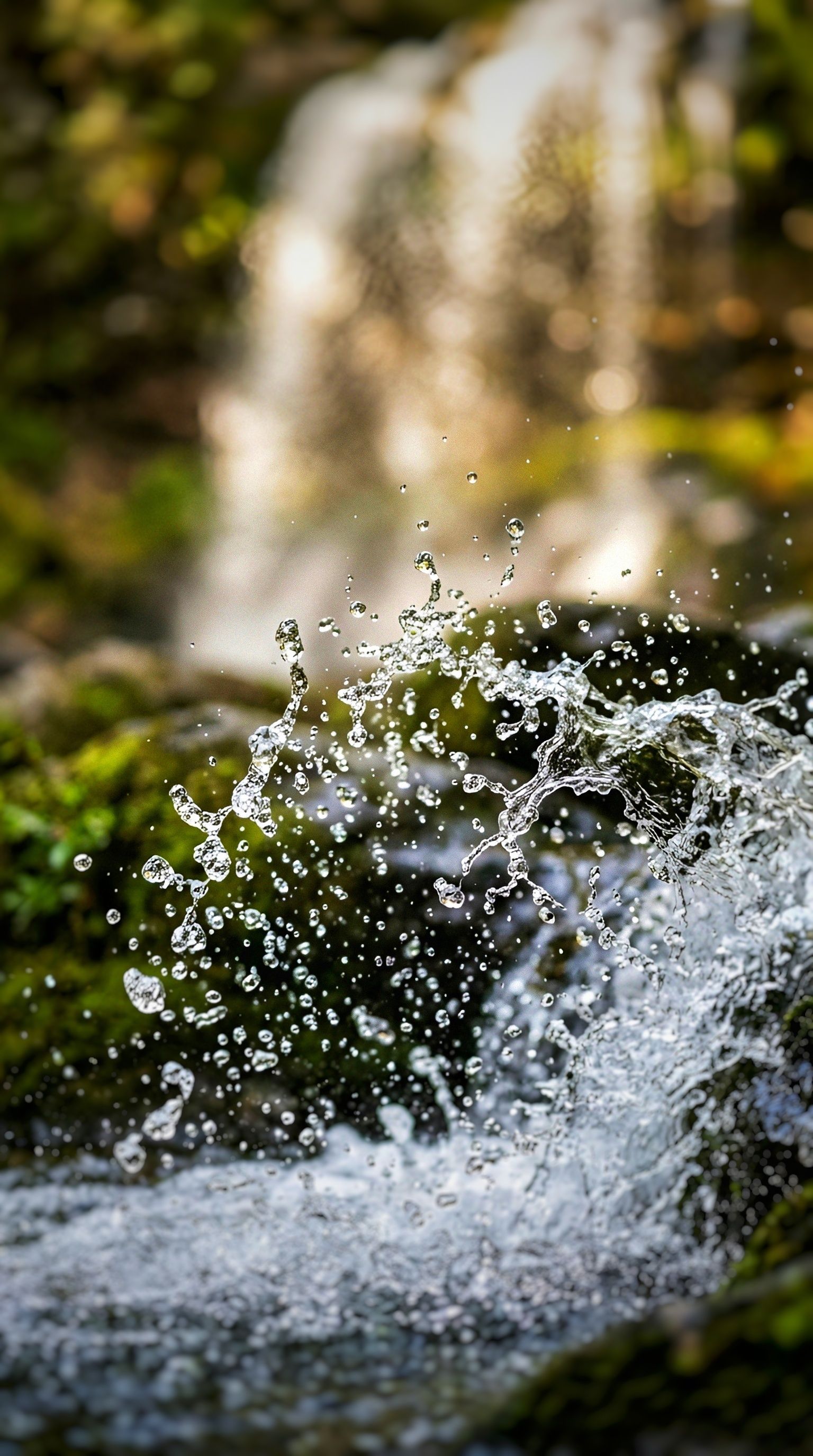 Close-up of Water Splash in Forest Stream · Free Stock Photo