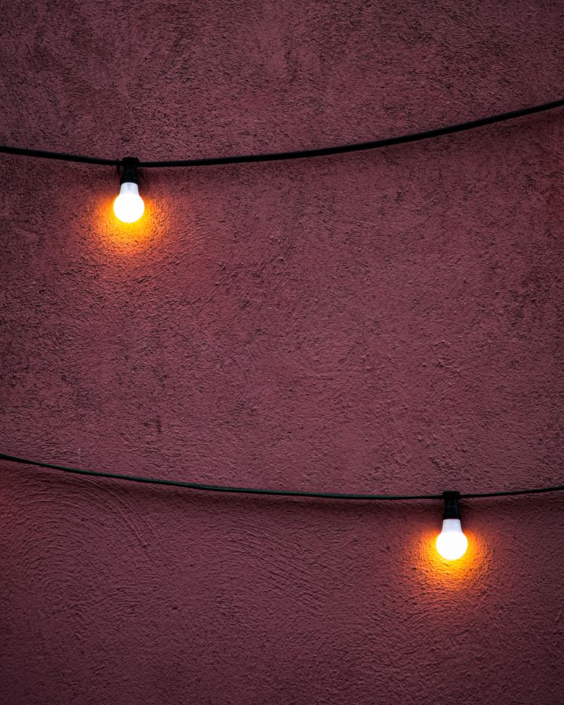 Bulb Texture Photos, Download The BEST Free Bulb Texture Stock Photos ...