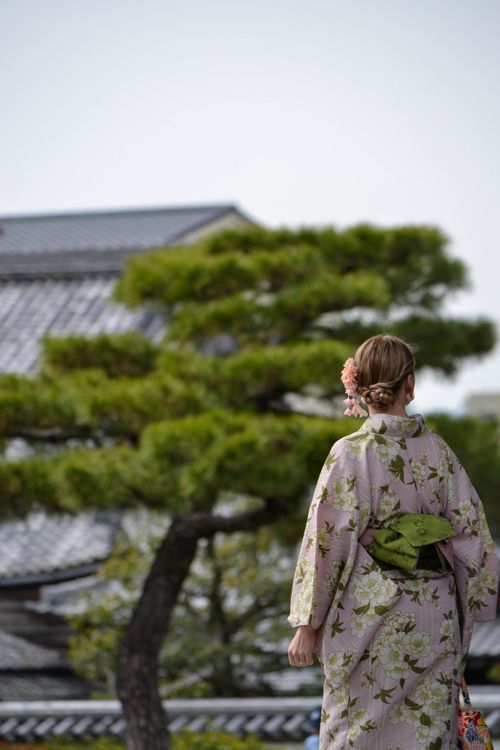 Free A woman in a floral kimono stands outdoors near traditional Kyoto architecture, showcasing Japanese culture. Stock Photo
