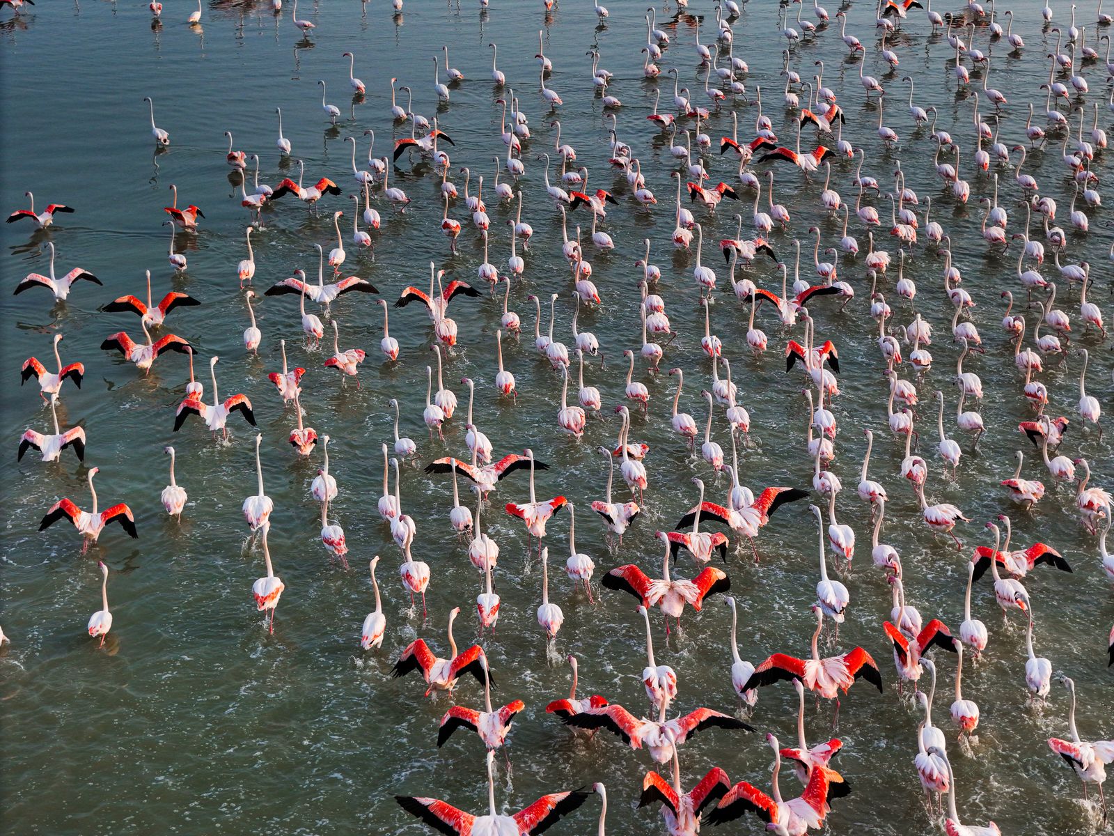 Lake Nakuru National Park