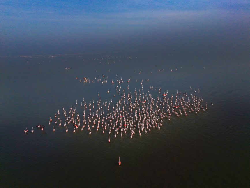 Sambhar Salt Lake