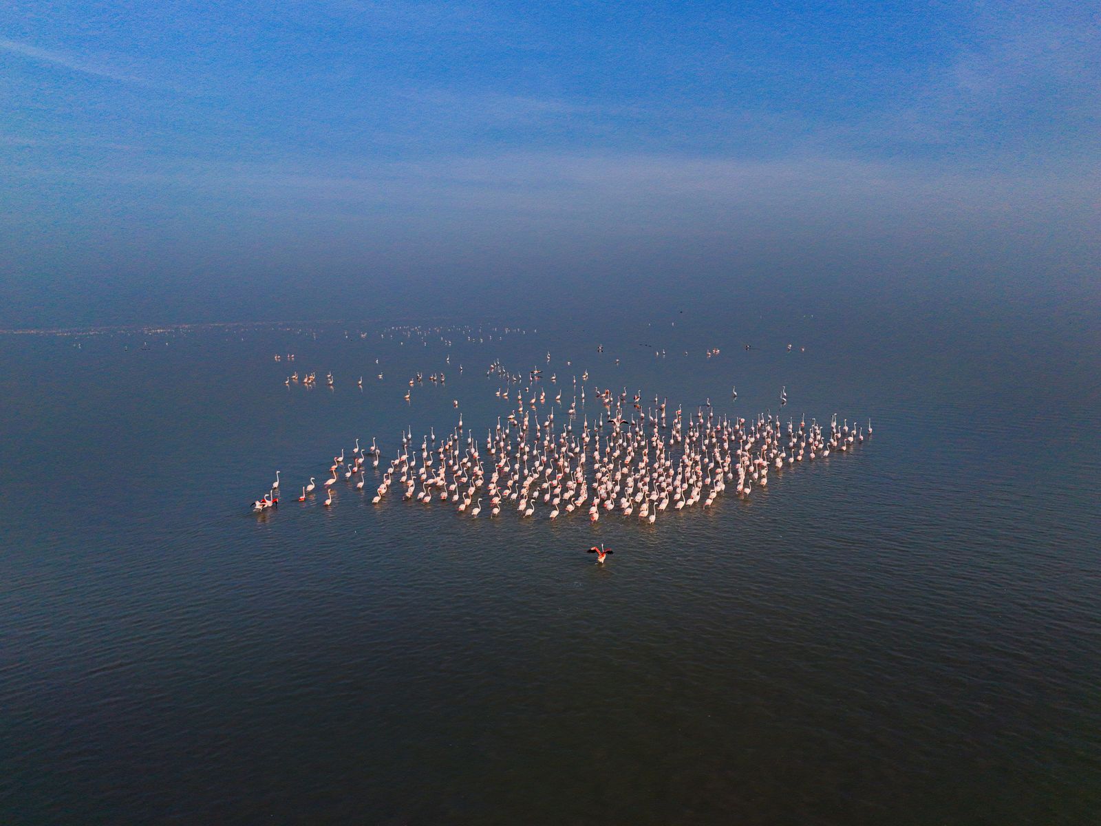 Lakes Bogoria & Baringo