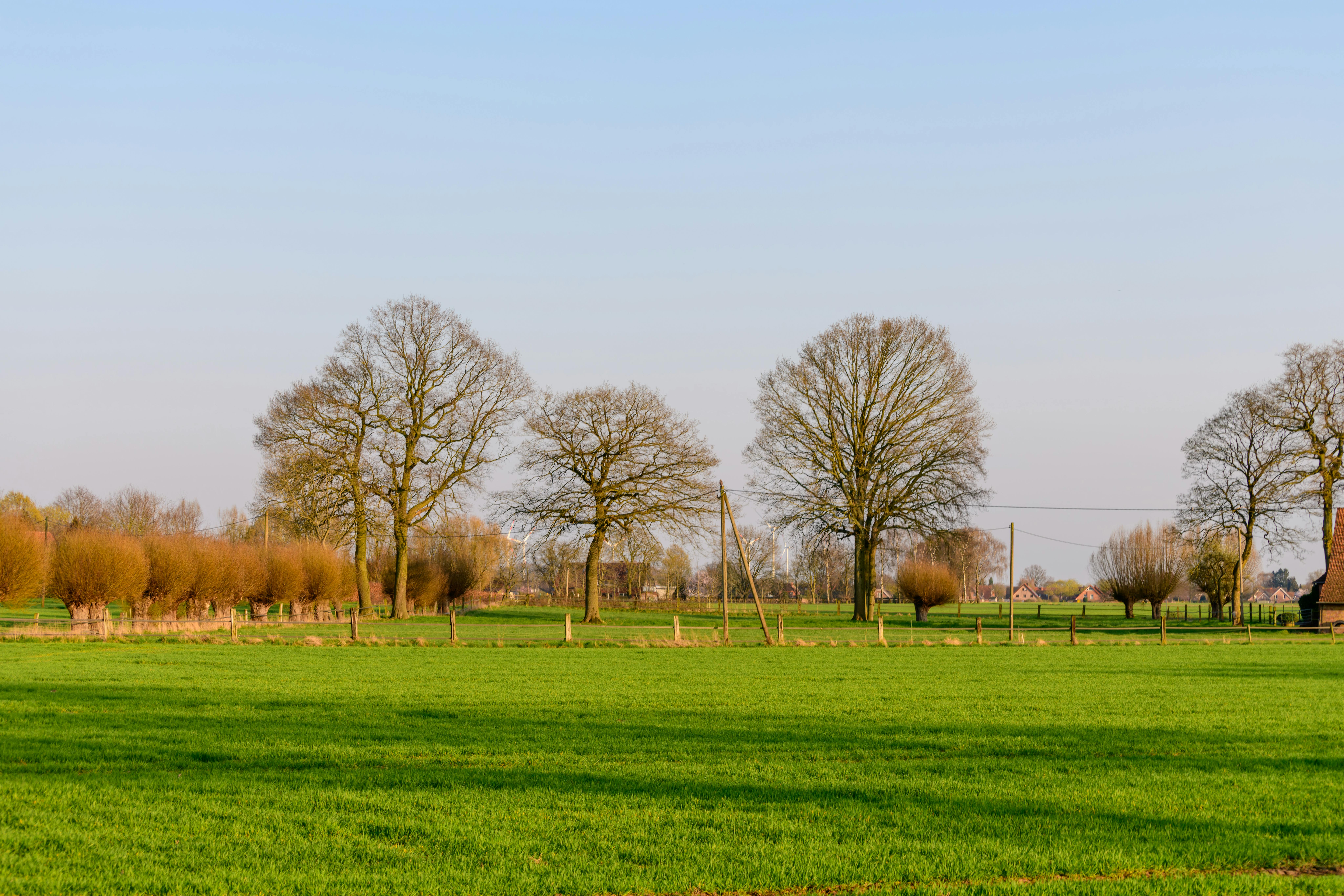 Pourquoi les beaux pays sont essentiels pour votre bien-être