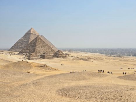 Explore the majestic Pyramids of Giza, with camels and vast desert landscape in Egypt.