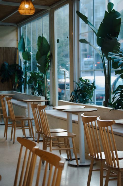Free A serene cafe in Türkiye featuring wooden chairs, large windows, and lush indoor plants. Stock Photo