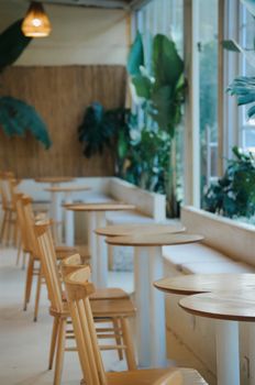 Serene café interior in Türkiye featuring wooden chairs, tables, and lush green plants near large windows.