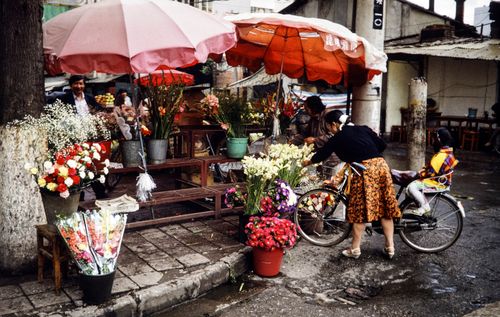 Free Street flower market in China showcasing colorful bouquets under umbrellas with locals interacting. Stock Photo